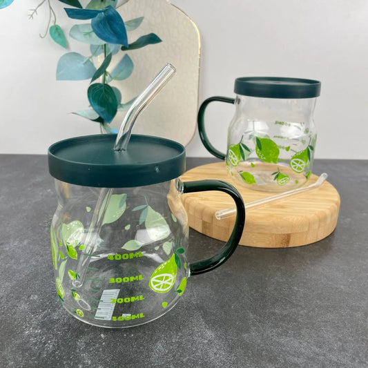 Delisoga Borosilicate Glass Mason Jar Mug with Plastic Lid and Glass Straw
